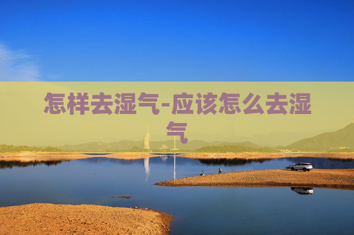 怎样去湿气-应该怎么去湿气