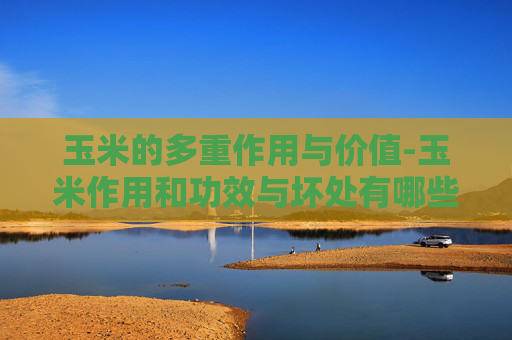 玉米的多重作用与价值-玉米作用和功效与坏处有哪些