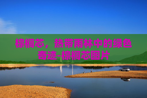 棕榈芯，热带雨林中的绿色奇迹-棕榈芯图片