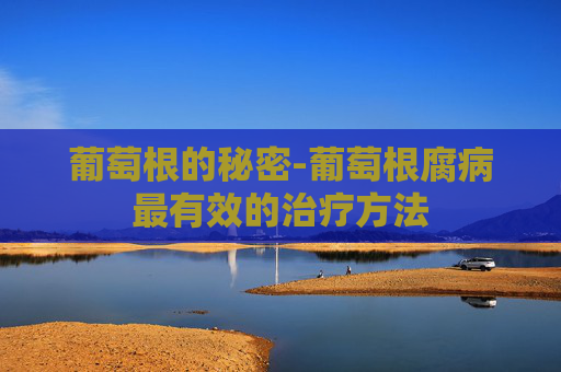 葡萄根的秘密-葡萄根腐病最有效的治疗方法