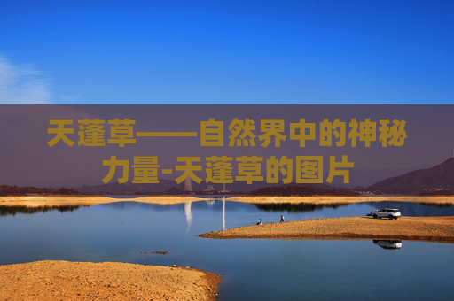 天蓬草——自然界中的神秘力量-天蓬草的图片