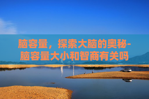 脑容量，探索大脑的奥秘-脑容量大小和智商有关吗