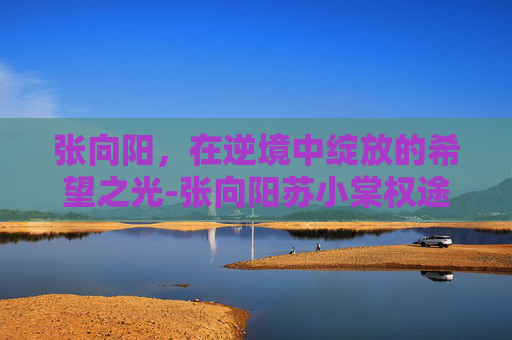 张向阳,在逆境中绽放的希望之光-张向阳苏小棠权途小说阅读 张向阳,在逆境中绽放的希望之光-张向阳苏小棠权途小说阅读