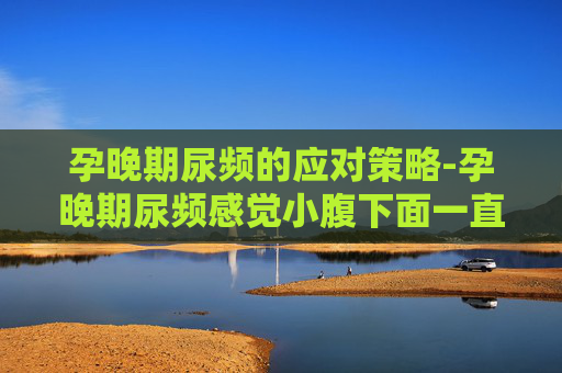 孕晚期尿频的应对策略-孕晚期尿频感觉小腹下面一直有尿意 孕晚期尿频的应对策略-孕晚期尿频感觉小腹下面一直有尿意