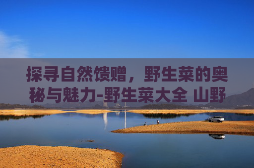 探寻自然馈赠,野生菜的奥秘与魅力-野生菜大全 山野菜 探寻自然馈赠,野生菜的奥秘与魅力-野生菜大全 山野菜