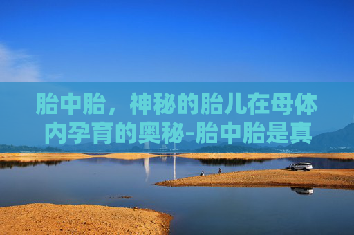 胎中胎,神秘的胎儿在母体内孕育的奥秘-胎中胎是真实存在的吗 胎中胎,神秘的胎儿在母体内孕育的奥秘-胎中胎是真实存在的吗