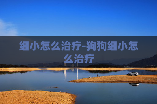 细小怎么治疗-狗狗细小怎么治疗 细小怎么治疗-狗狗细小怎么治疗