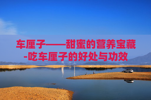 车厘子——甜蜜的营养宝藏-吃车厘子的好处与功效 车厘子——甜蜜的营养宝藏-吃车厘子的好处与功效