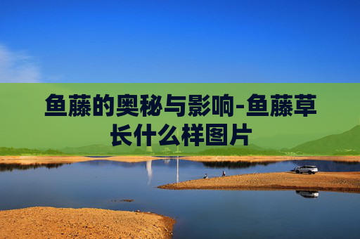 鱼藤的奥秘与影响-鱼藤草长什么样图片 鱼藤的奥秘与影响-鱼藤草长什么样图片