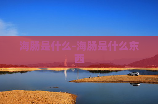 海肠是什么-海肠是什么东西