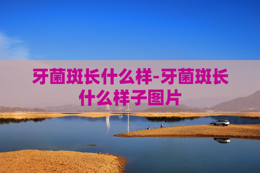 牙菌斑长什么样-牙菌斑长什么样子图片