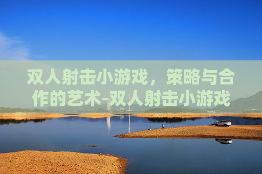 双人射击小游戏，策略与合作的艺术-双人射击小游戏手机版