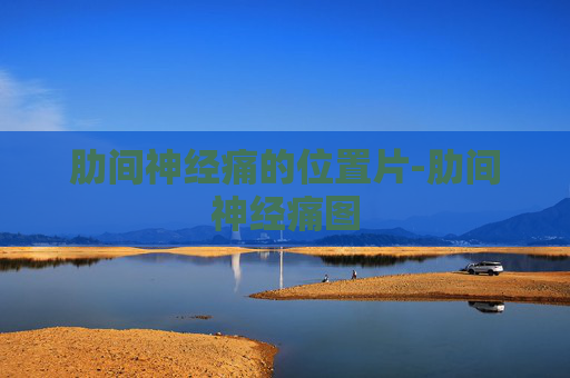 肋间神经痛的位置片-肋间神经痛图 肋间神经痛的位置片-肋间神经痛图
