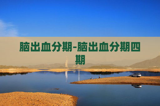 脑出血分期-脑出血分期四期