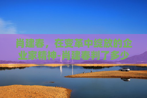 肖建春，在变革中绽放的企业家精神-肖建春判了多少年