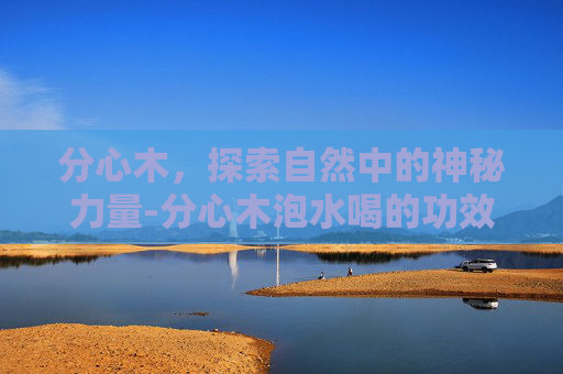 分心木，探索自然中的神秘力量-分心木泡水喝的功效和副作用