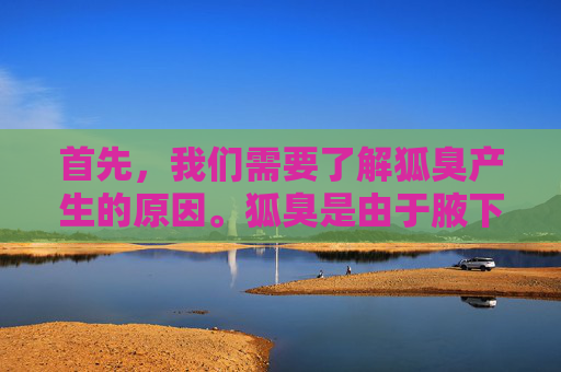 首先，我们需要了解狐臭产生的原因。狐臭是由于腋下的汗腺分泌出的汗液与皮肤表面的细菌相互作用而产生的特殊气味。因此，要消除狐臭，我们需要从两个方面入手，减少汗液分泌和抑制细菌生长。-永久去狐臭小妙招