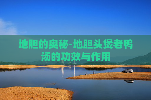 地胆的奥秘-地胆头煲老鸭汤的功效与作用