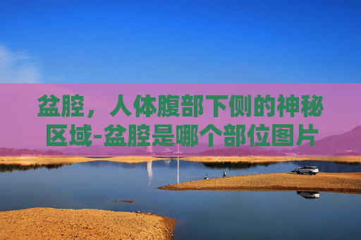 盆腔，人体腹部下侧的神秘区域-盆腔是哪个部位图片