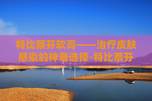 特比萘芬软膏——治疗皮肤感染的神奇选择-特比萘芬软膏和酮康唑哪个效果好