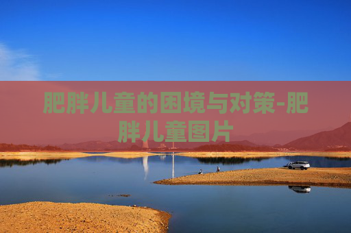 肥胖儿童的困境与对策-肥胖儿童图片