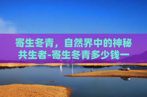 寄生冬青，自然界中的神秘共生者-寄生冬青多少钱一斤