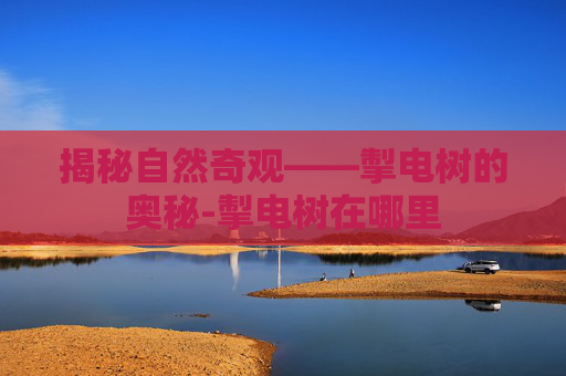 揭秘自然奇观——掣电树的奥秘-掣电树在哪里
