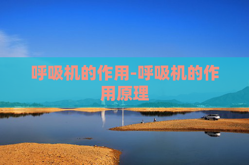 呼吸机的作用-呼吸机的作用原理