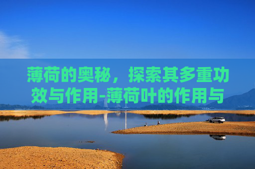薄荷的奥秘，探索其多重功效与作用-薄荷叶的作用与功效