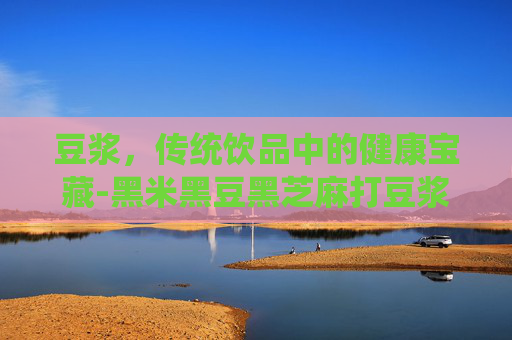 豆浆，传统饮品中的健康宝藏-黑米黑豆黑芝麻打豆浆功效