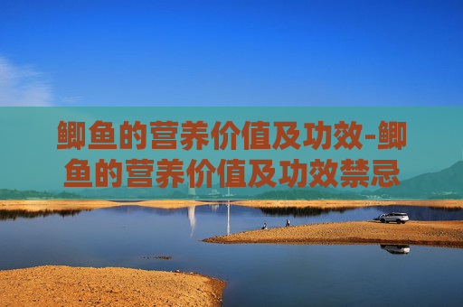 鲫鱼的营养价值及功效-鲫鱼的营养价值及功效禁忌