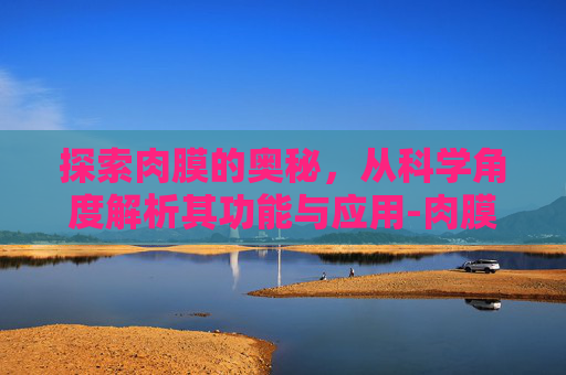 探索肉膜的奥秘，从科学角度解析其功能与应用-肉膜息肉是什么引起的