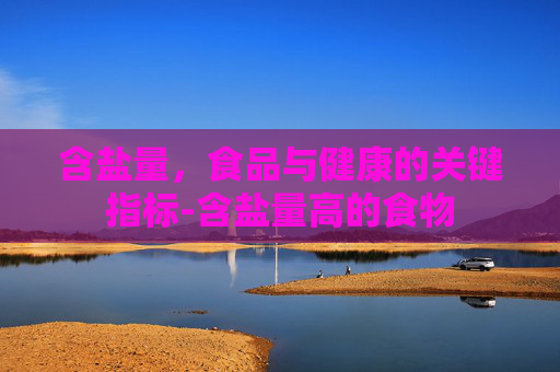 含盐量，食品与健康的关键指标-含盐量高的食物