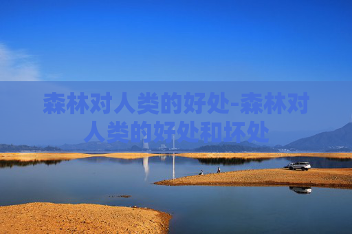 森林对人类的好处-森林对人类的好处和坏处