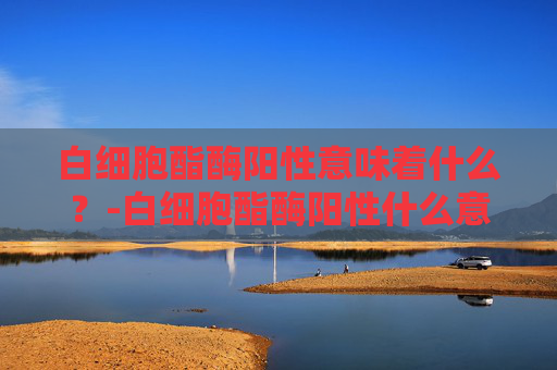 白细胞酯酶阳性意味着什么？-白细胞酯酶阳性什么意思妇科检查