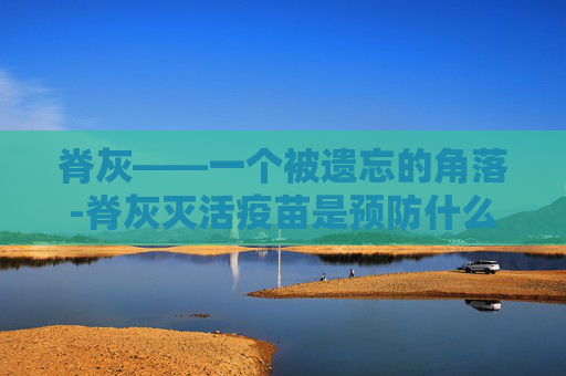 脊灰——一个被遗忘的角落-脊灰灭活疫苗是预防什么病