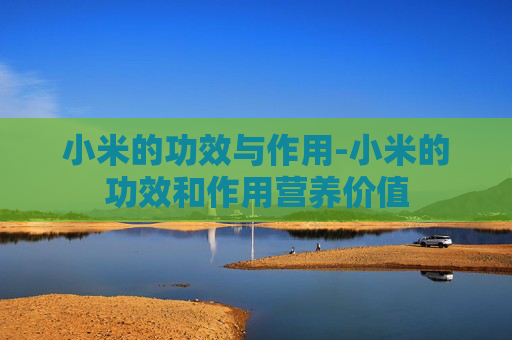 小米的功效与作用-小米的功效和作用营养价值