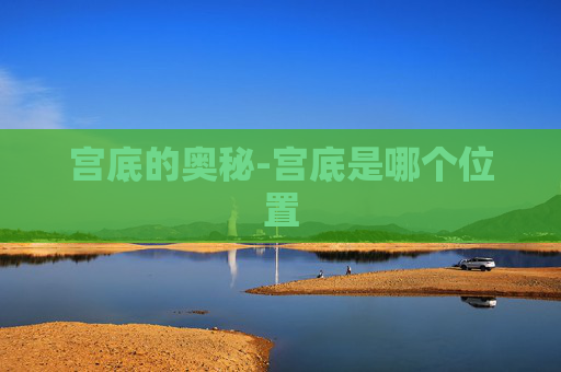 宫底的奥秘-宫底是哪个位置
