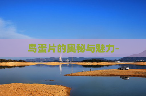 鸟蛋片的奥秘与魅力-