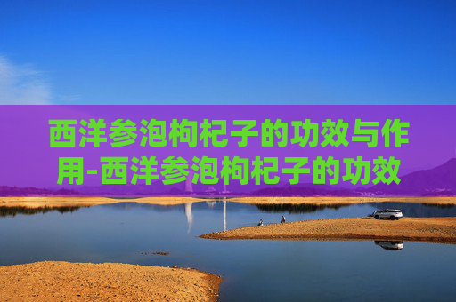 西洋参泡枸杞子的功效与作用-西洋参泡枸杞子的功效与作用及食用方法