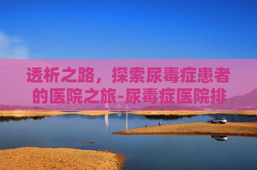 透析之路，探索尿毒症患者的医院之旅-尿毒症医院排名榜