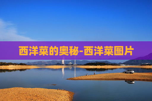 西洋菜的奥秘-西洋菜图片