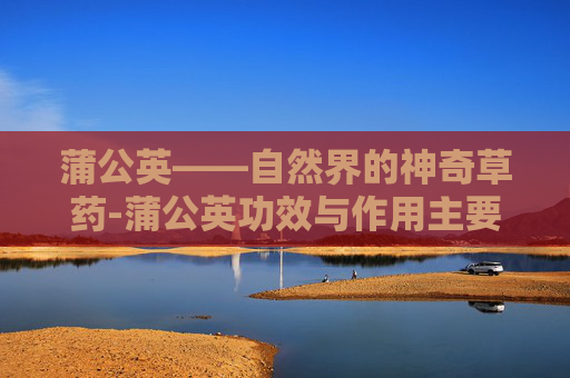 蒲公英——自然界的神奇草药-蒲公英功效与作用主要治什么病症
