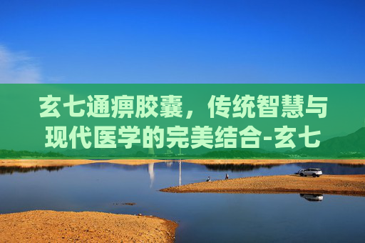 玄七通痹胶囊，传统智慧与现代医学的完美结合-玄七通痹胶囊的成分