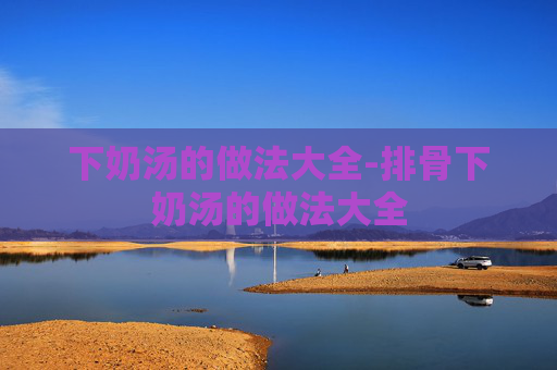 下奶汤的做法大全-排骨下奶汤的做法大全