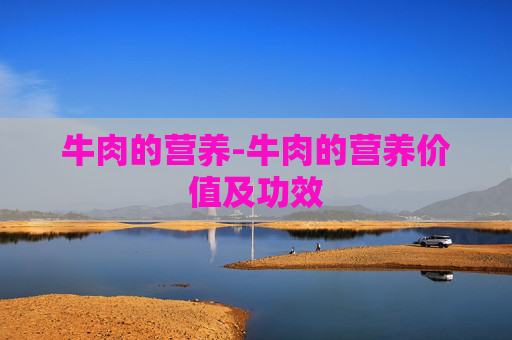 牛肉的营养-牛肉的营养价值及功效