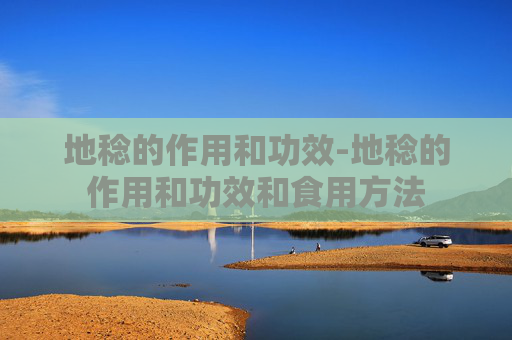 地稔的作用和功效-地稔的作用和功效和食用方法