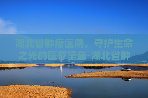 湖北省肿瘤医院，守护生命之光的医疗堡垒-湖北省肿瘤医院官网
