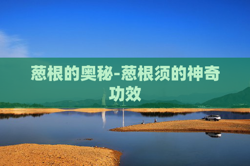 葱根的奥秘-葱根须的神奇功效