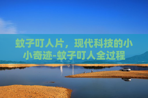 蚊子叮人片，现代科技的小小奇迹-蚊子叮人全过程